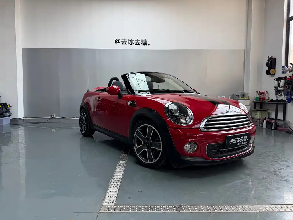 Mini ROA DS TER