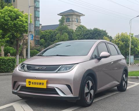BYD Dolphin