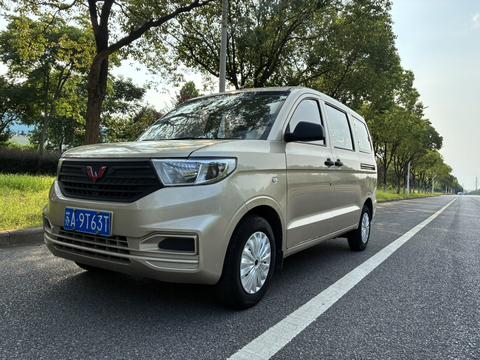 Wuling V
