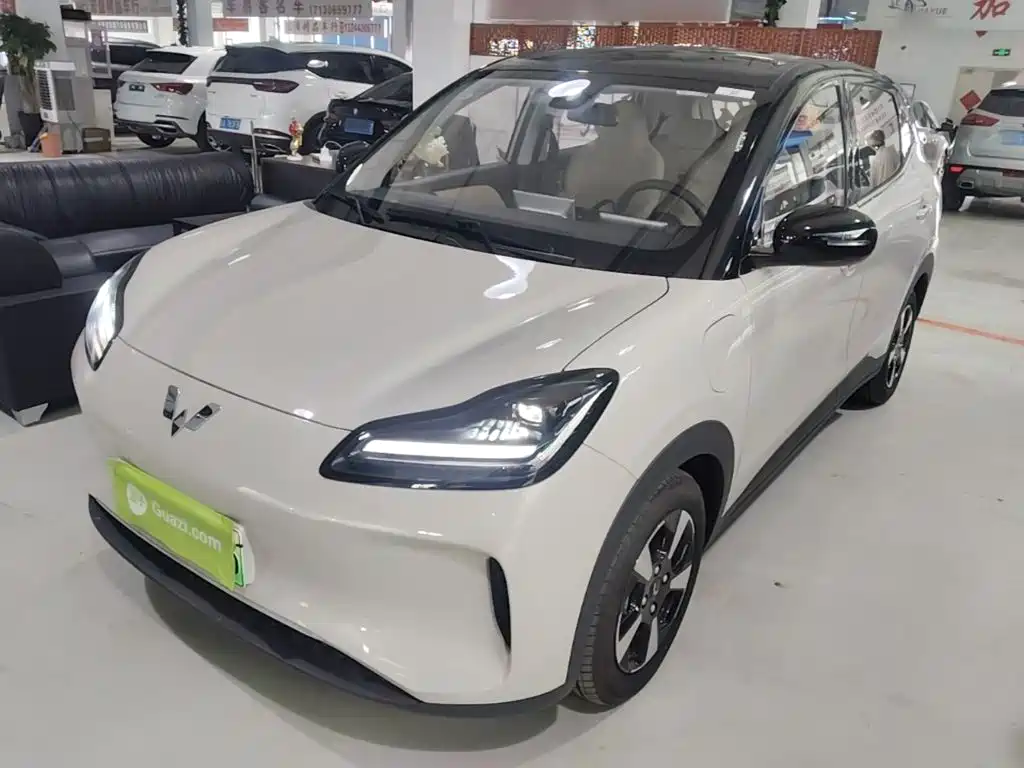 Wuling BinguoPLUS