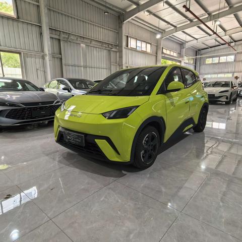 BYD Seagull