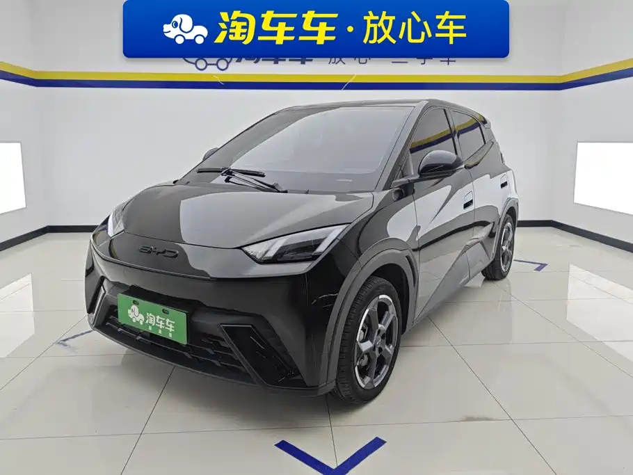 BYD Seagull