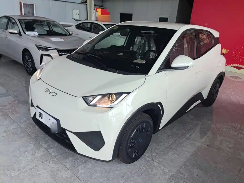 BYD Seagull