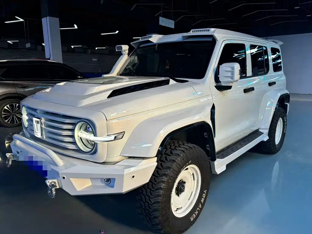 Tank 300