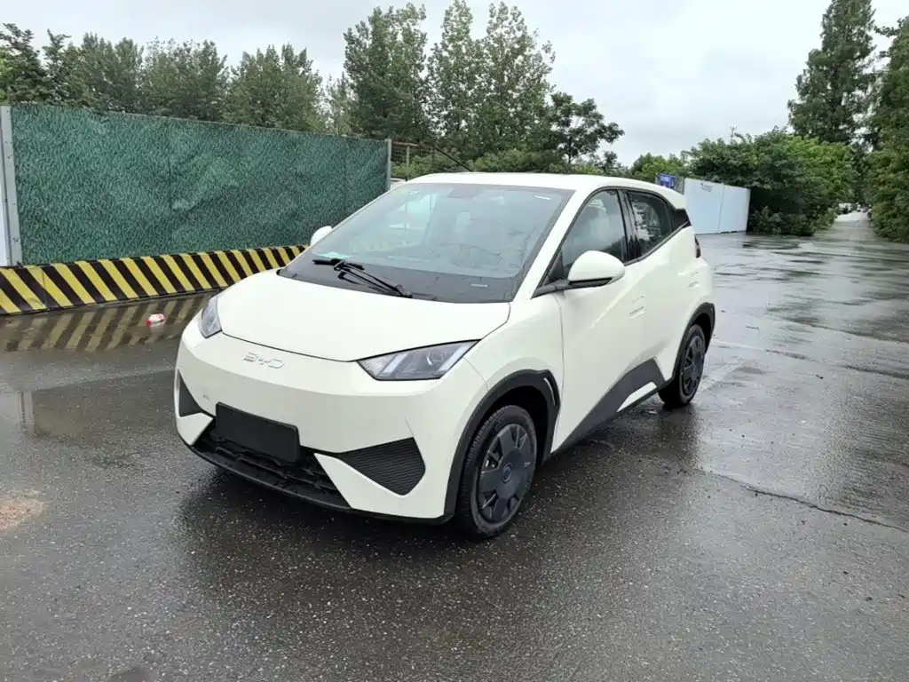 BYD Seagull