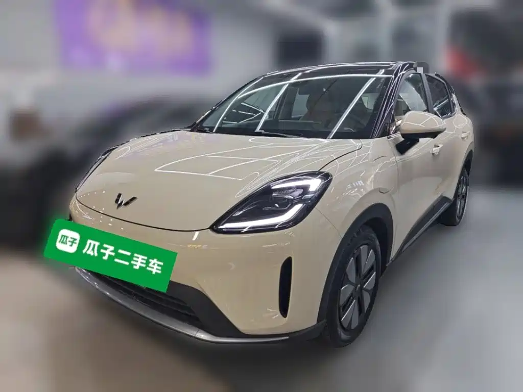 Wuling BinguoS