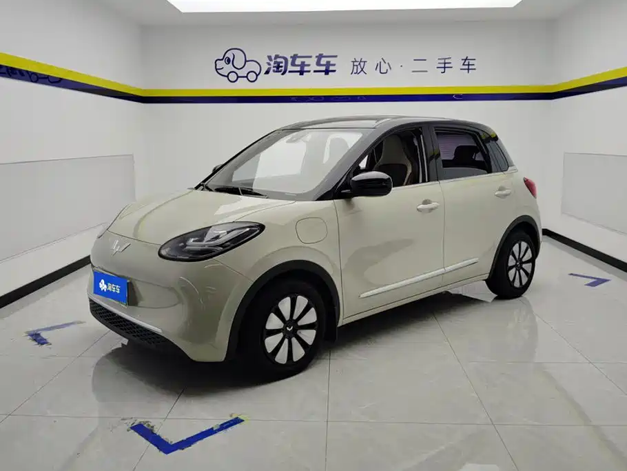 Wuling Binguo