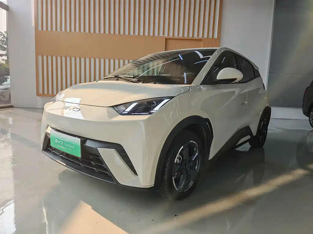 BYD Seagull