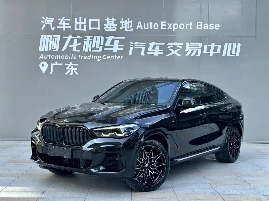 BMW X6