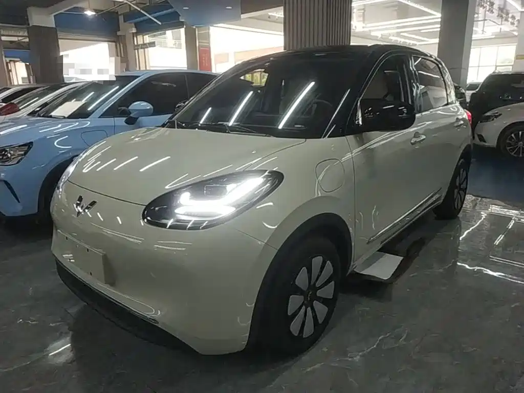 Wuling Binguo