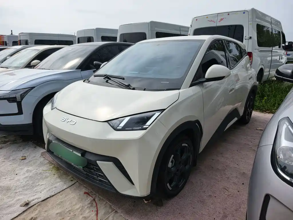 BYD Seagull