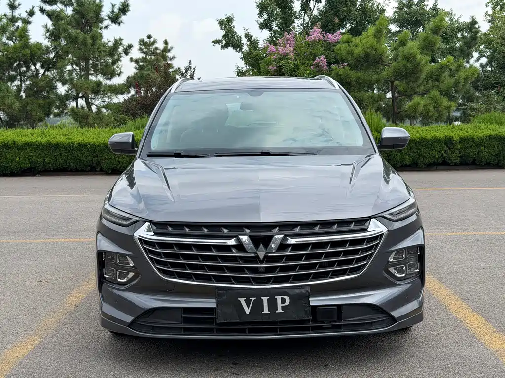 Wuling Victory