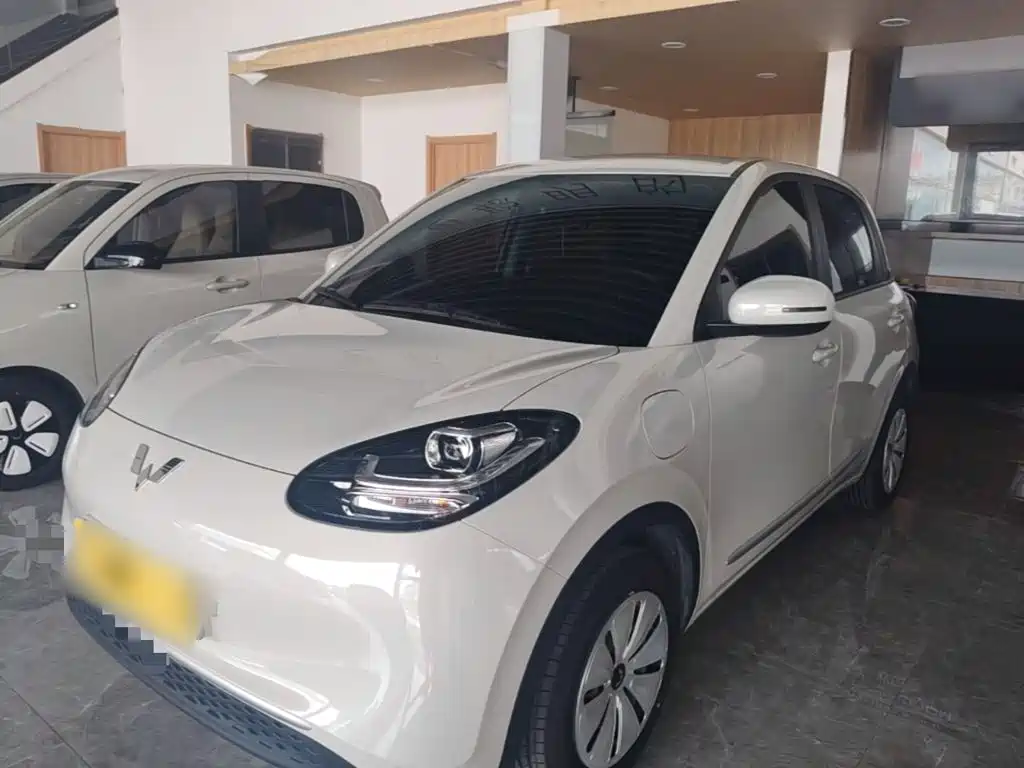 Wuling Binguo