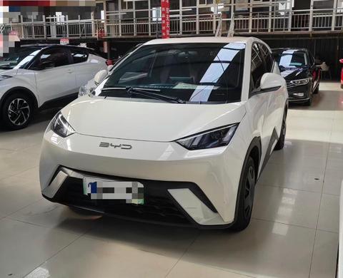 BYD Seagull