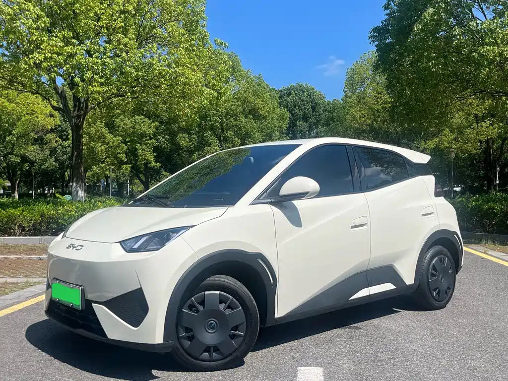 BYD Seagull
