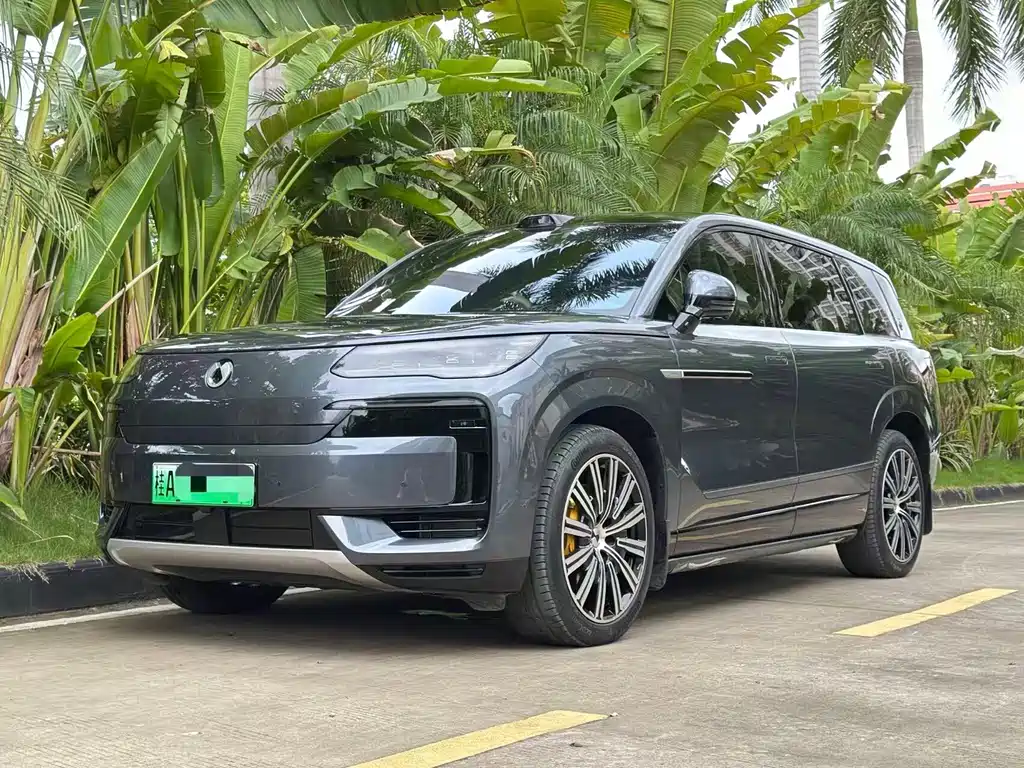 Denza N9