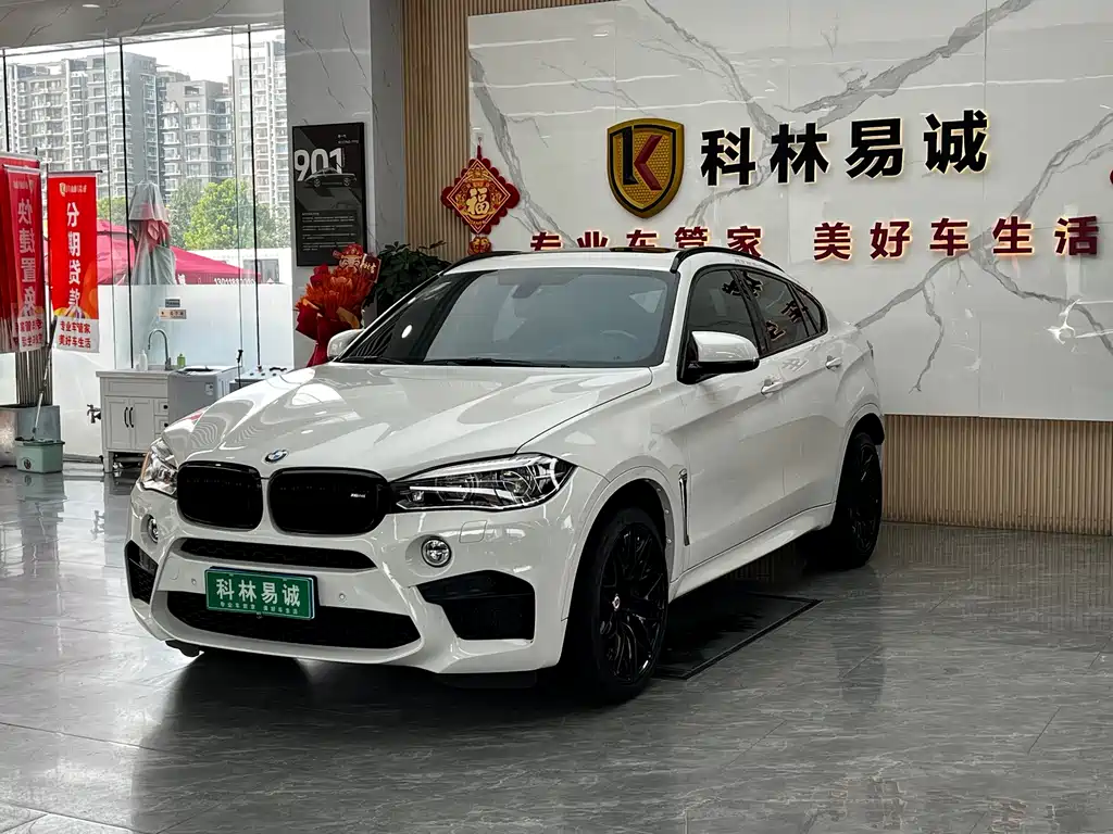 BMW X6 M