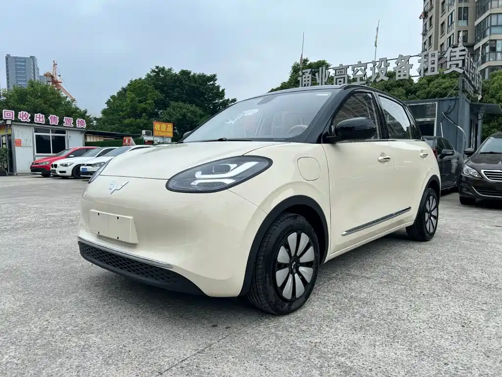 Wuling Binguo