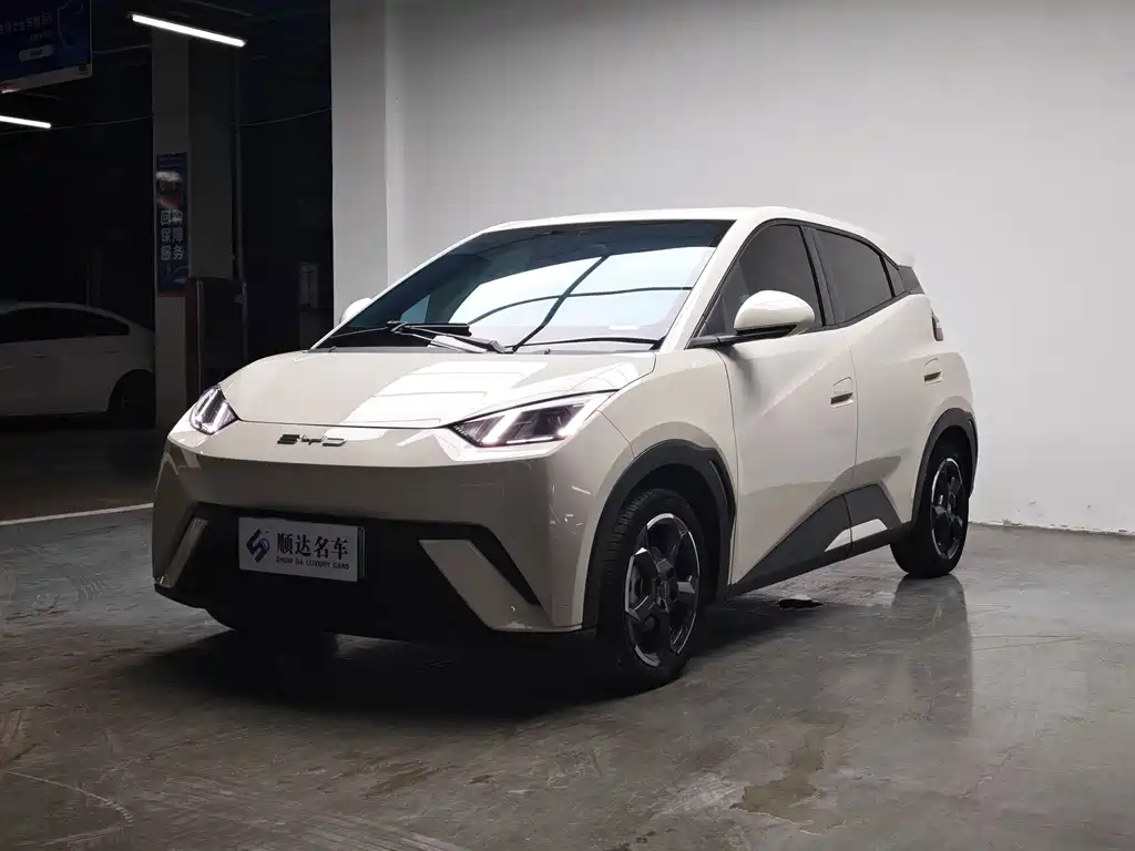 BYD Seagull