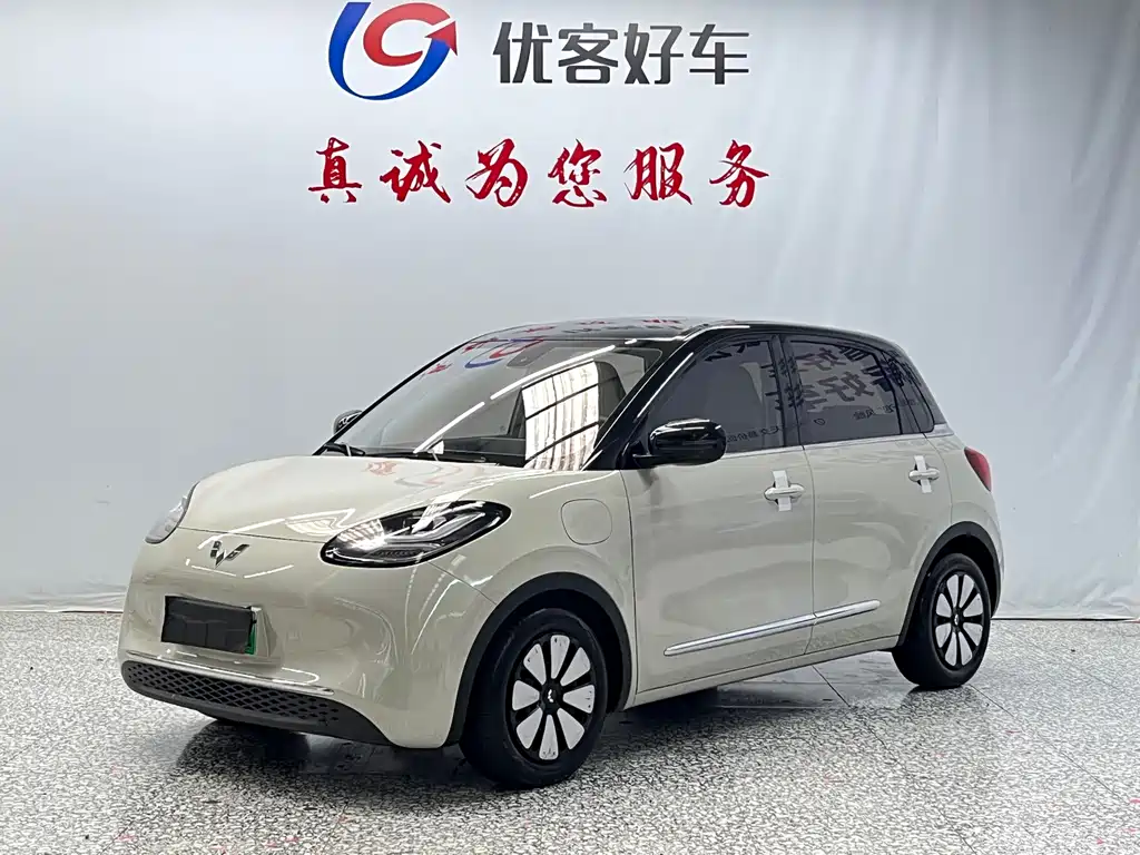 Wuling Binguo