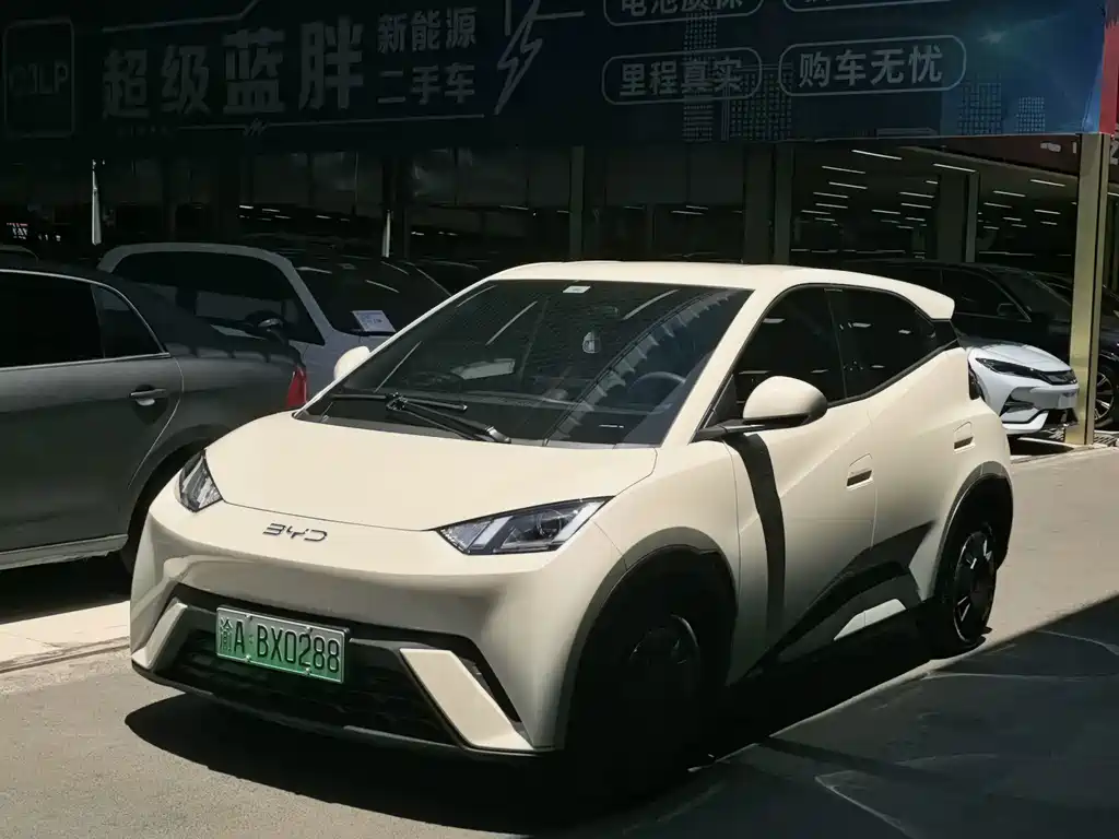 BYD Seagull