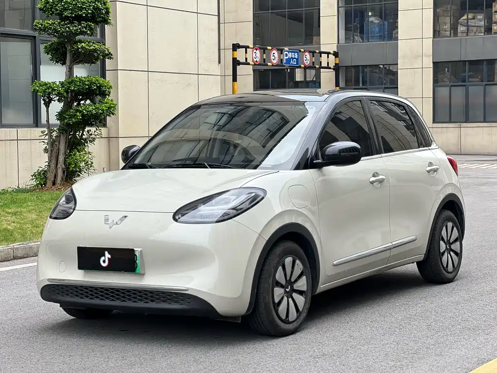 Wuling Binguo