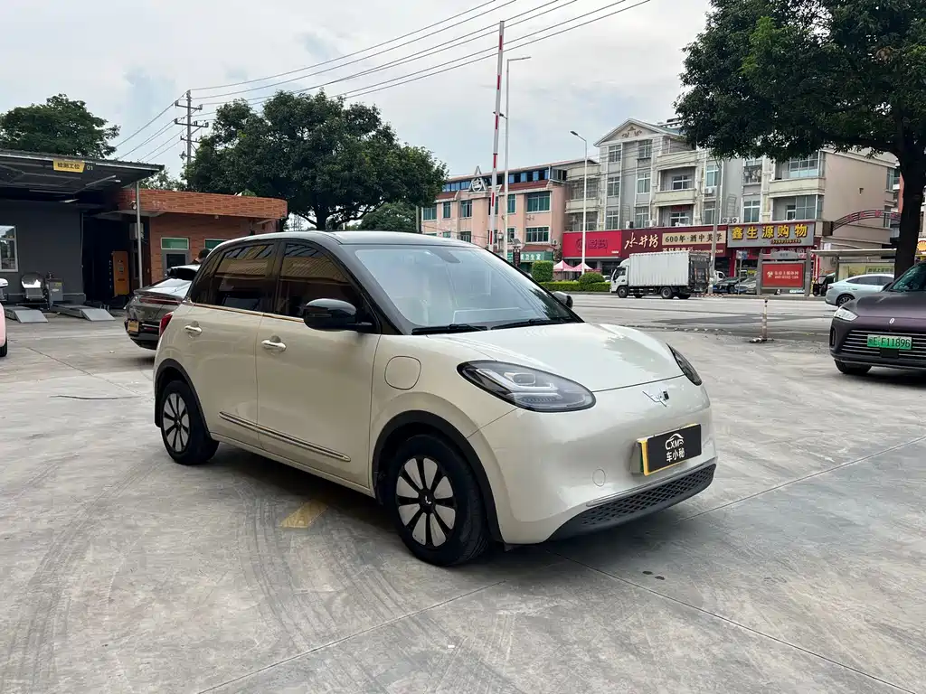 Wuling Binguo