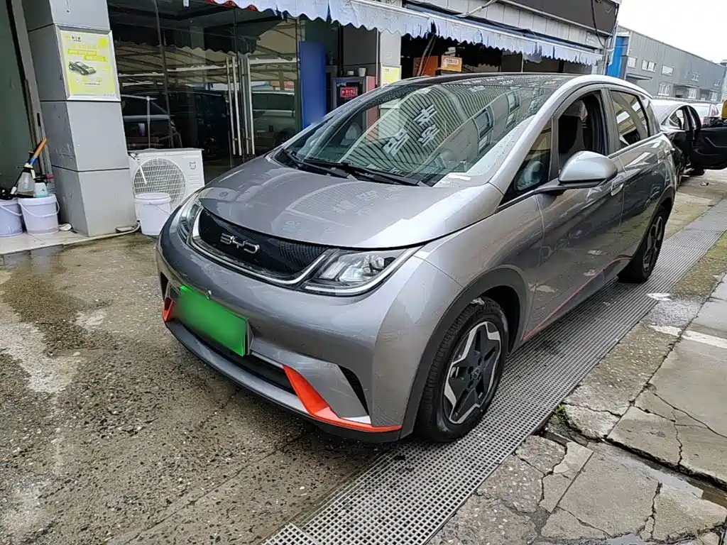 BYD Dolphin