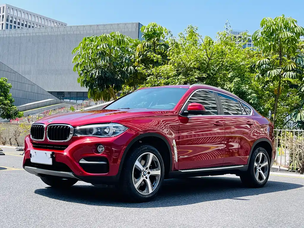 BMW X6