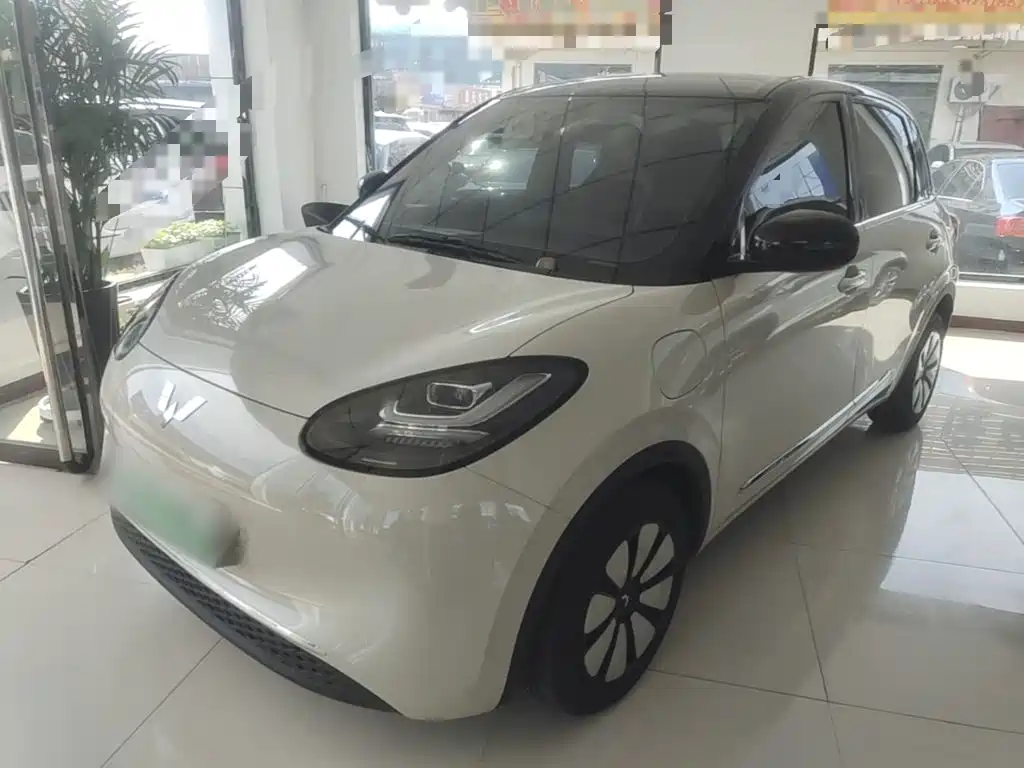 Wuling Binguo