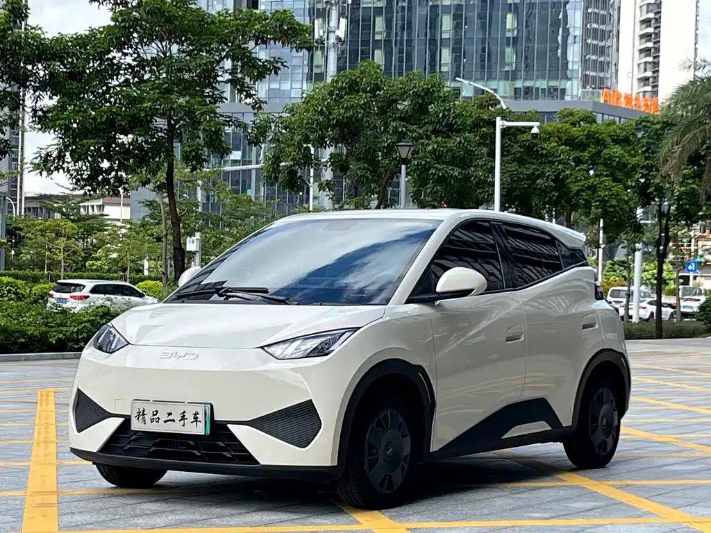 BYD Seagull