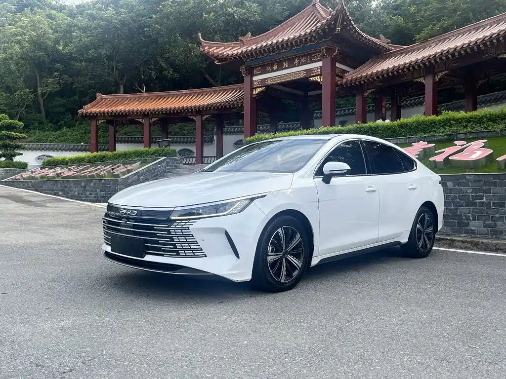 BYD Destroyer 05