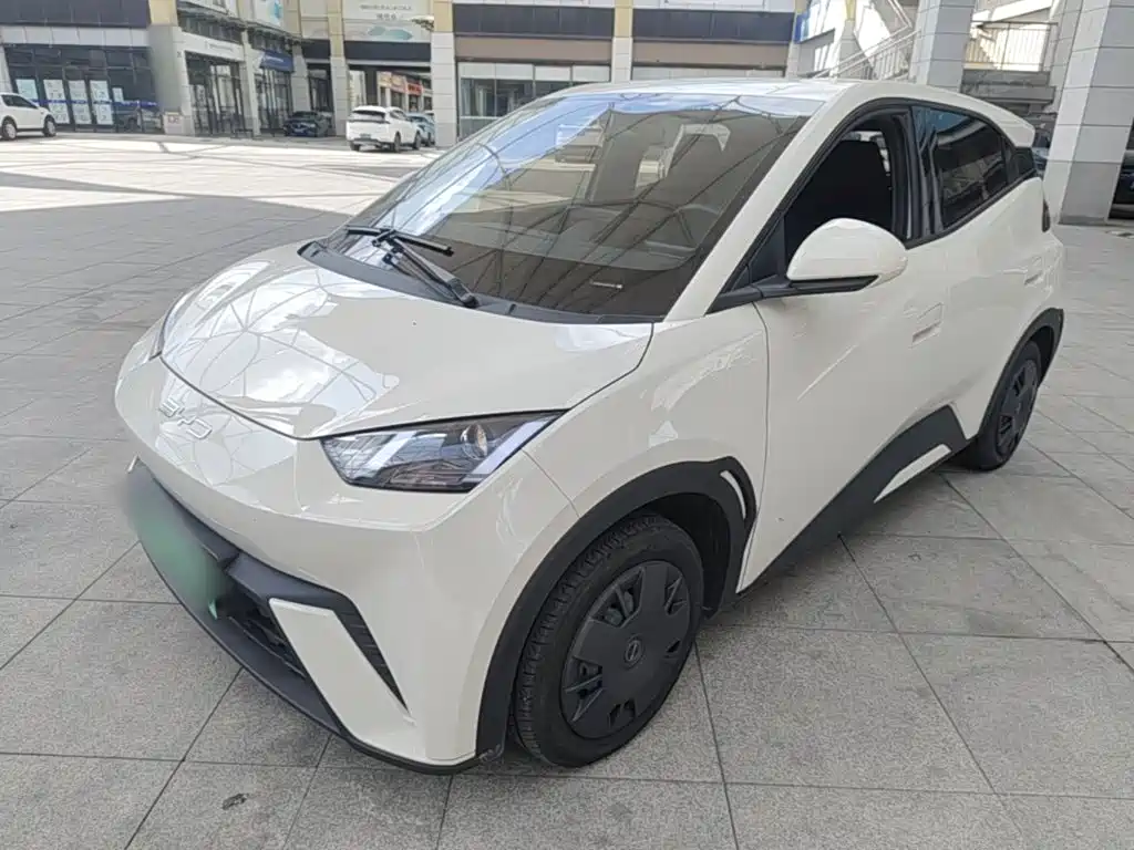 BYD Seagull