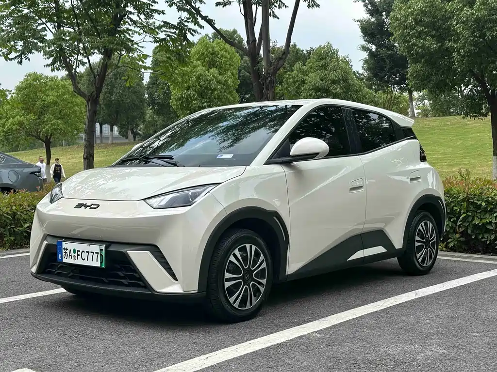 BYD Seagull