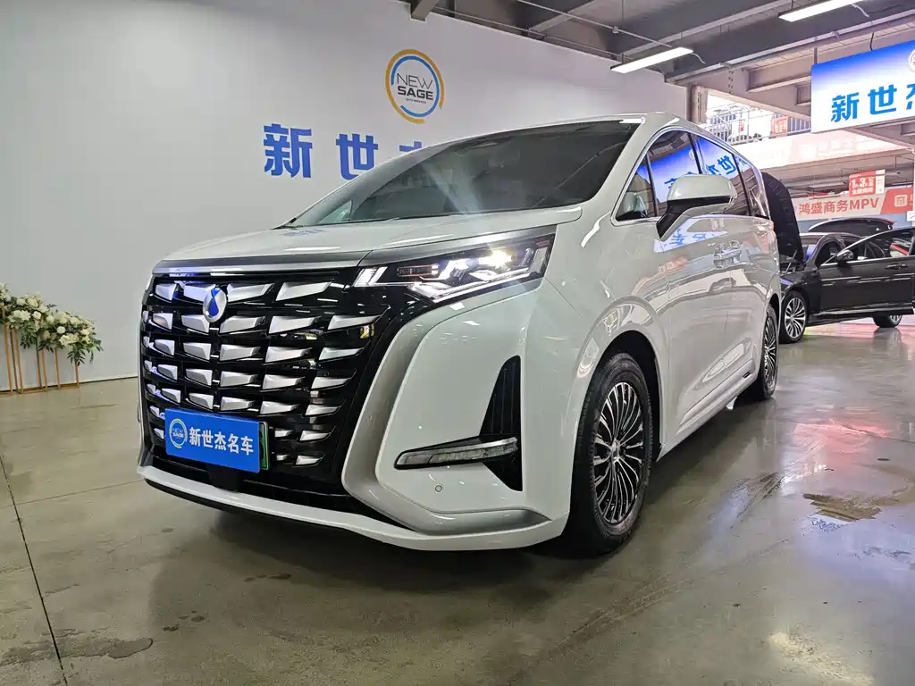 Denza D9