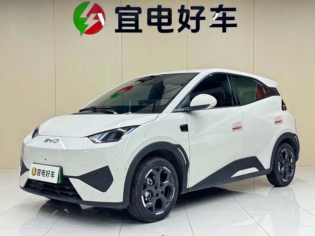 BYD Seagull