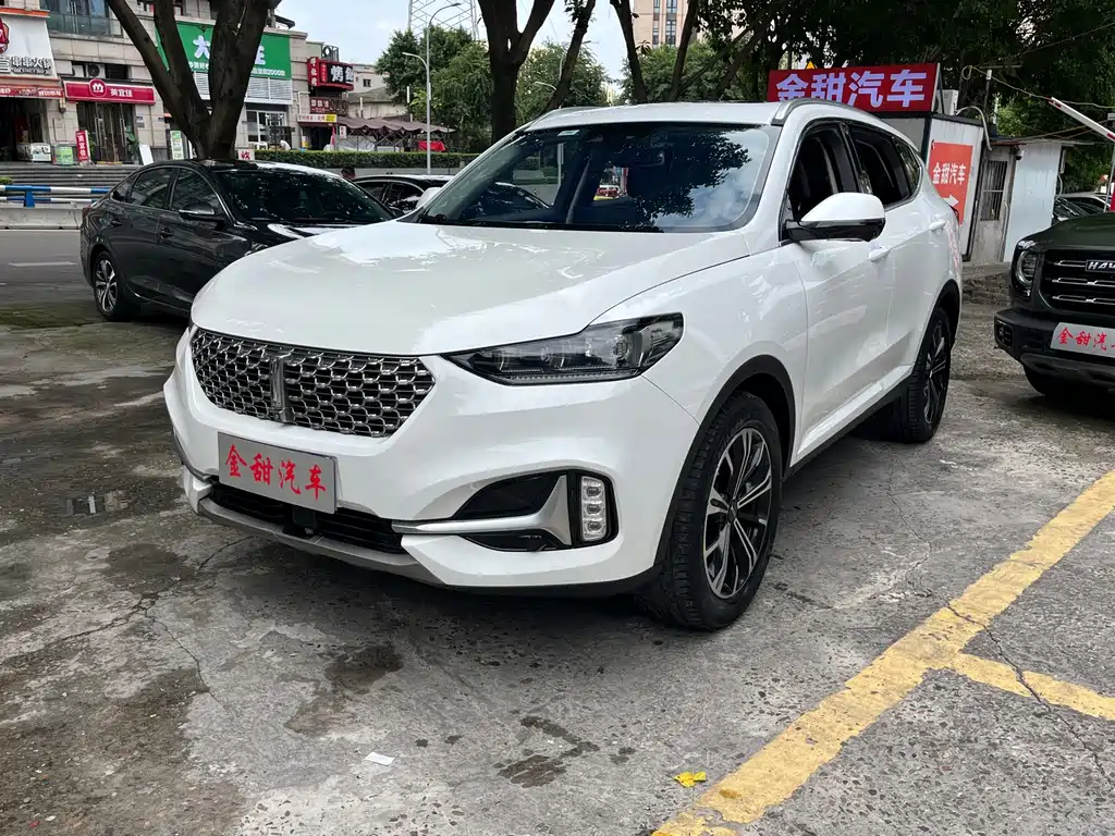 Wey VV6