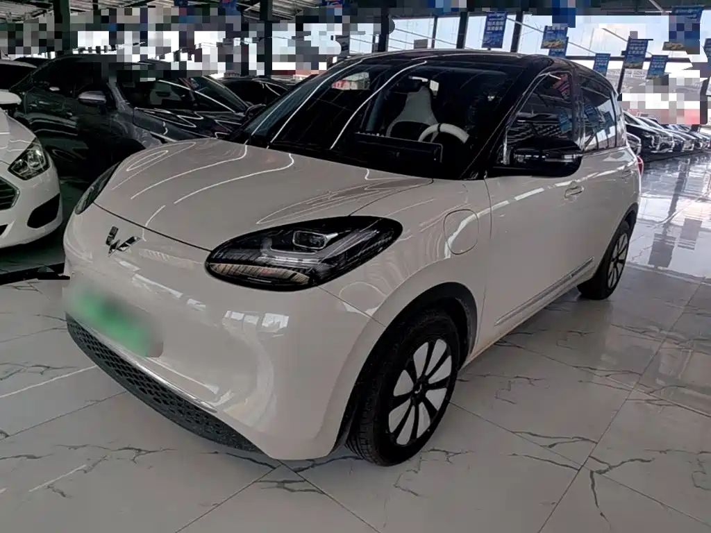 Wuling Binguo