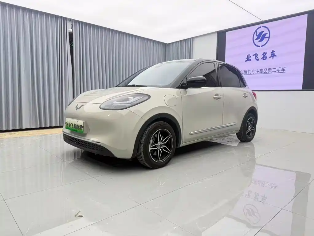 Wuling Binguo