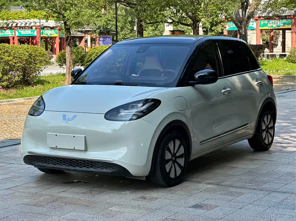 Wuling Binguo