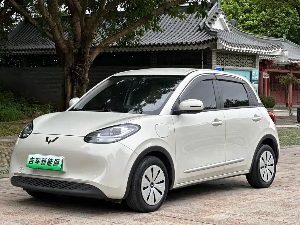 Wuling Binguo