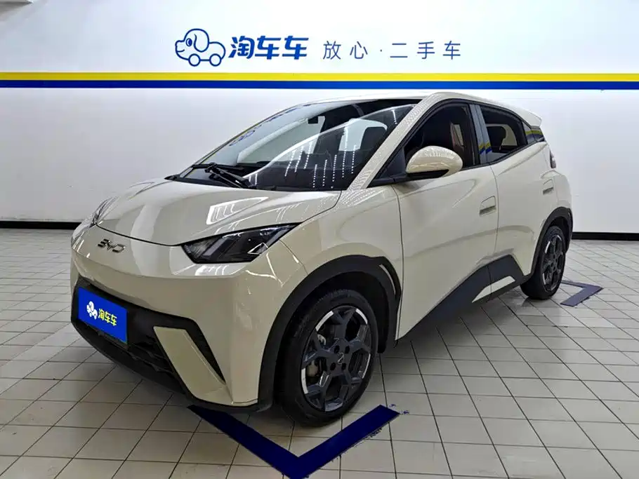 BYD Seagull