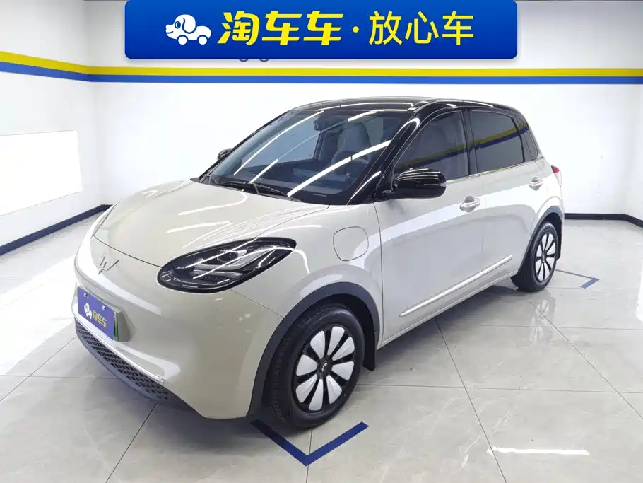 Wuling Binguo