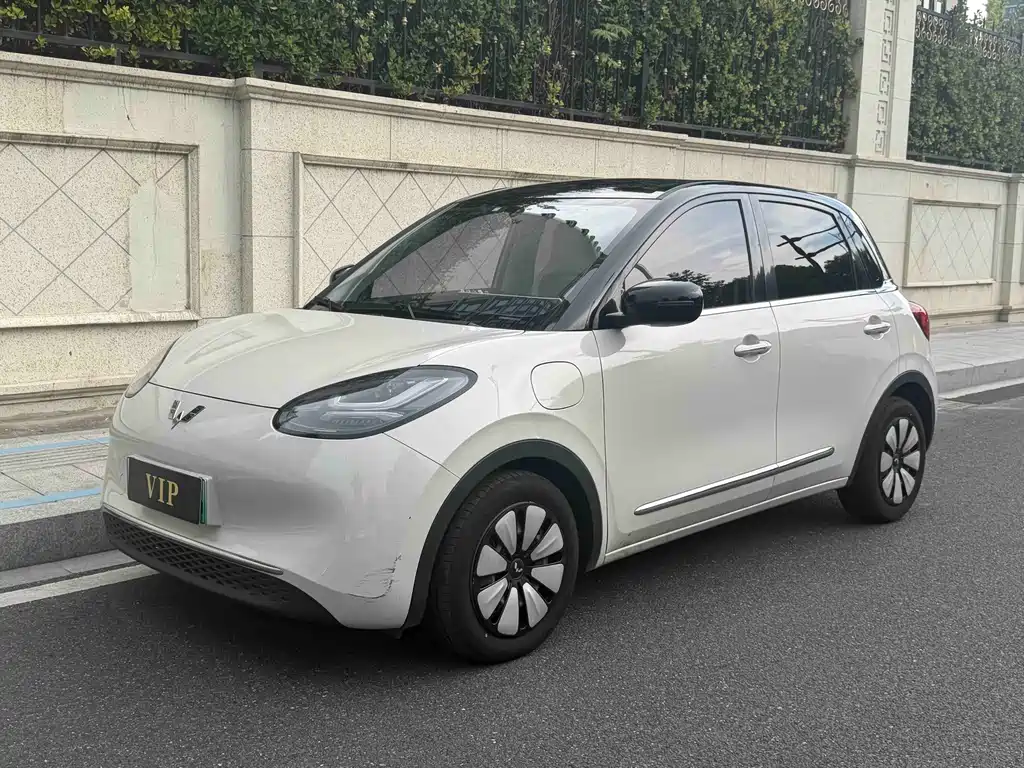 Wuling Binguo