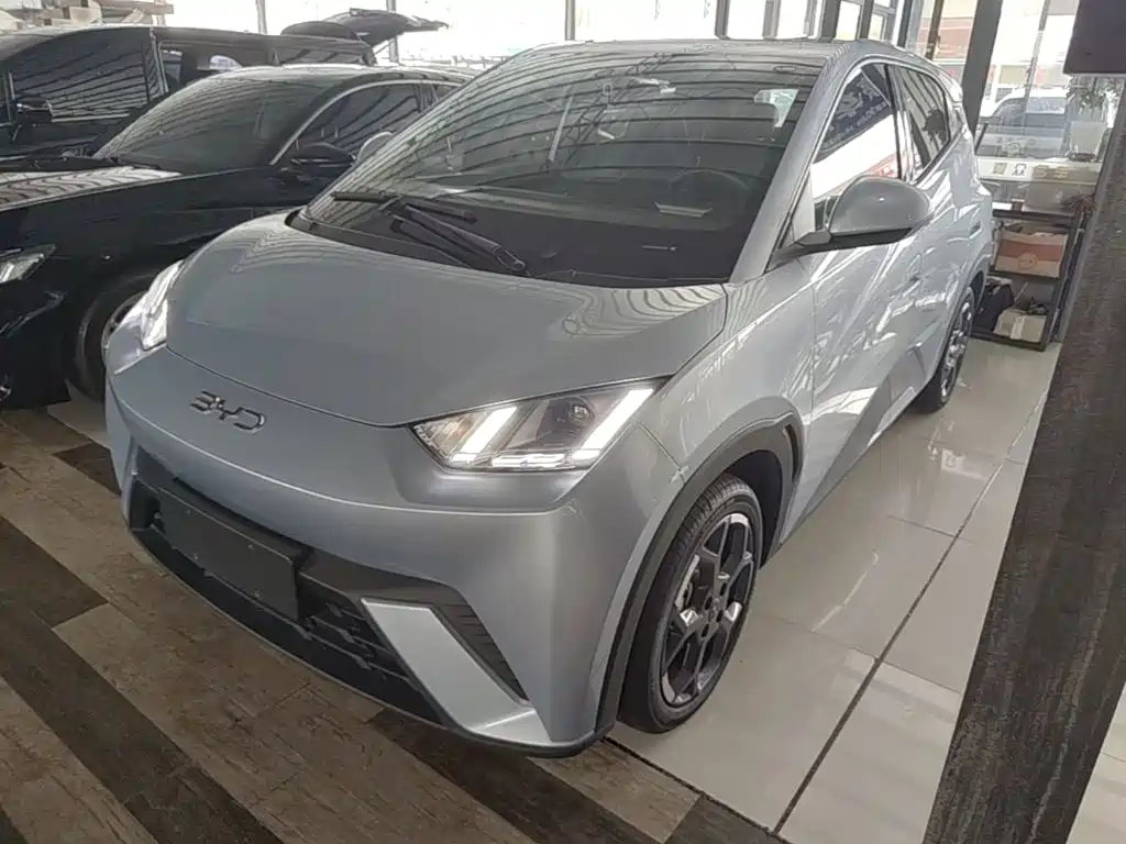 BYD Seagull
