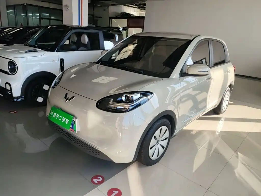 Wuling Binguo