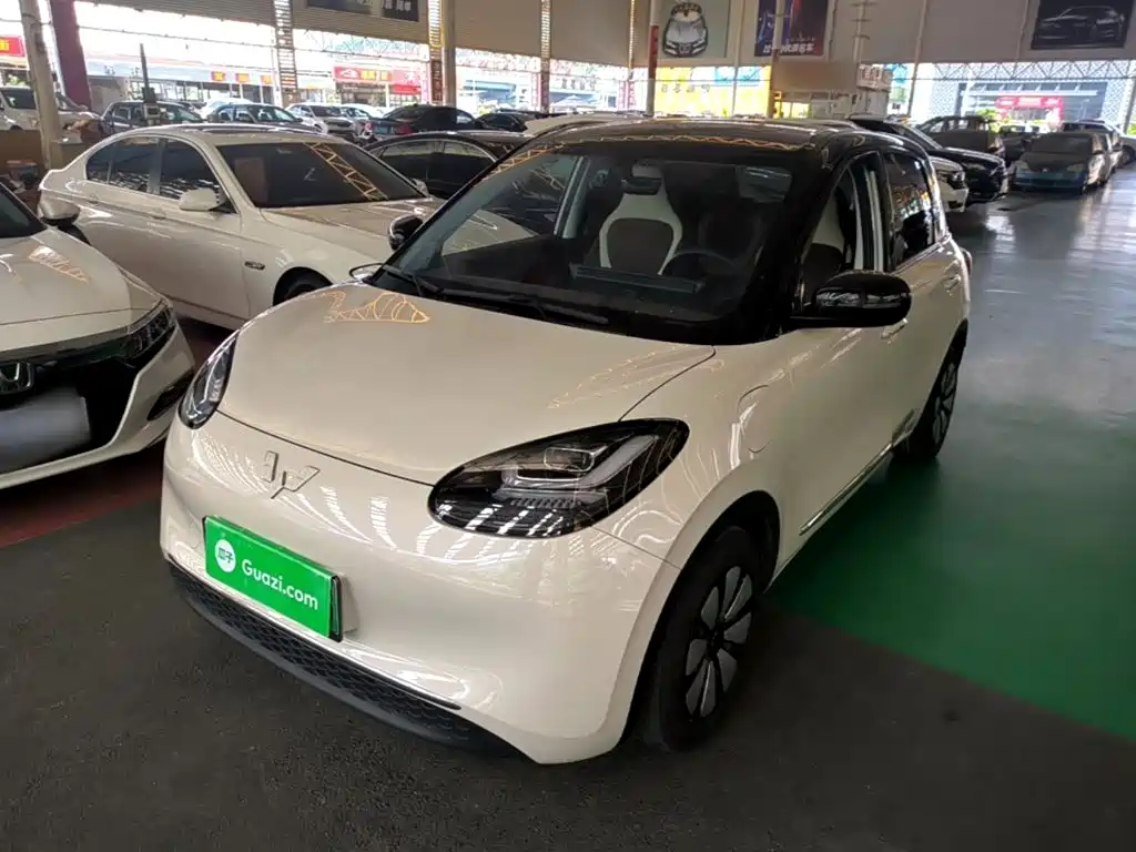 Wuling Binguo