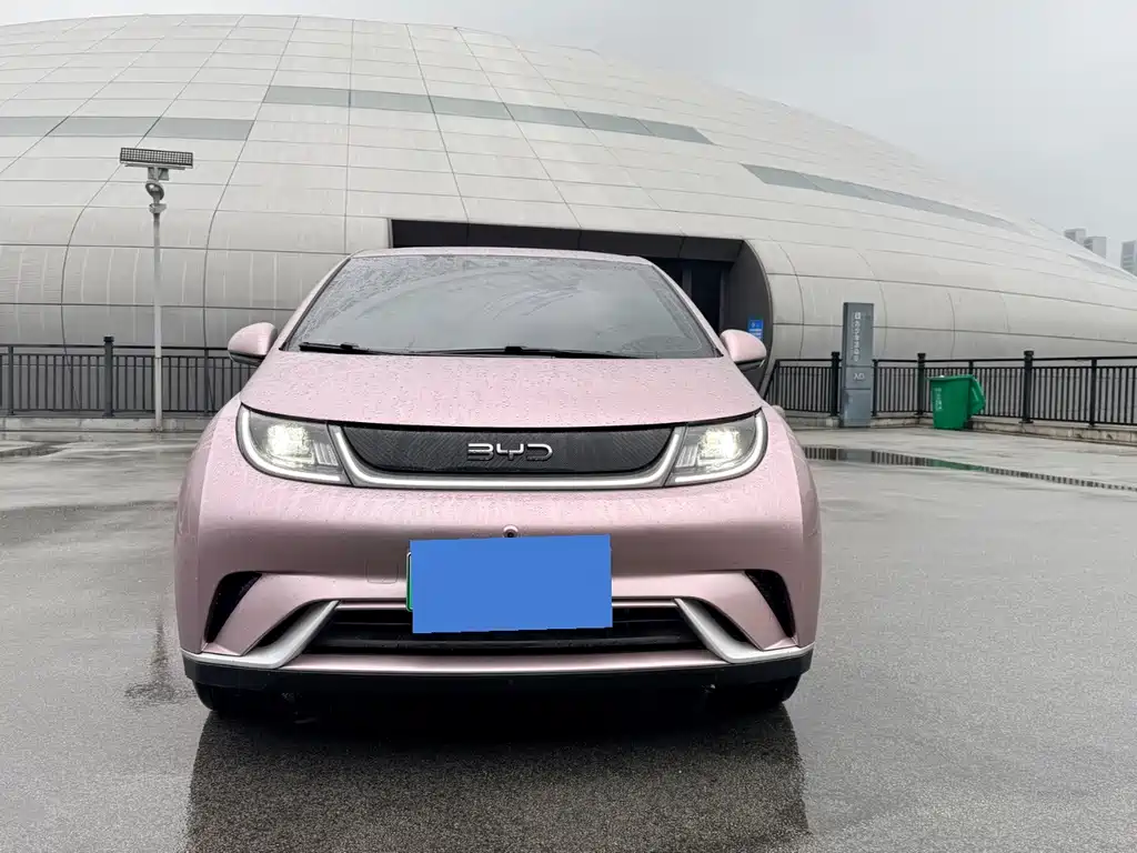 BYD Dolphin
