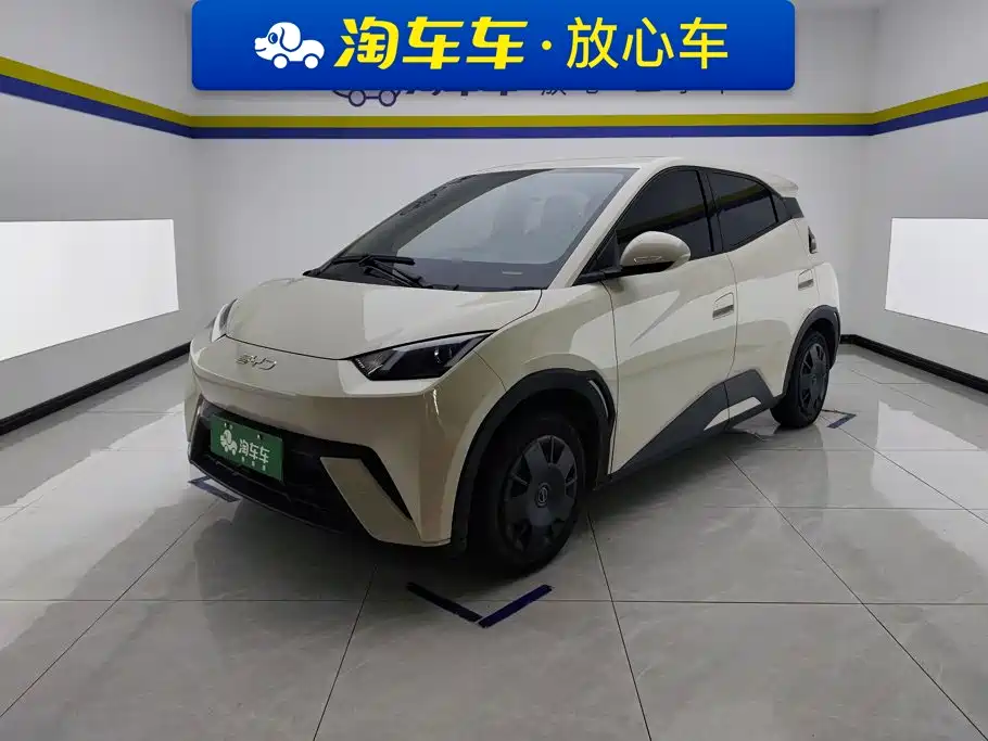 BYD Seagull