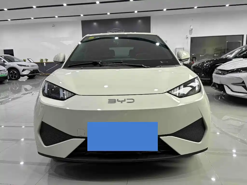 BYD Seagull